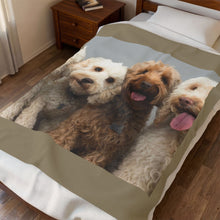 Load image into Gallery viewer, 4 Poodles Velveteen Plush Blanket