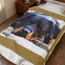 Load image into Gallery viewer, Rottweiller Velveteen Plush Blanket