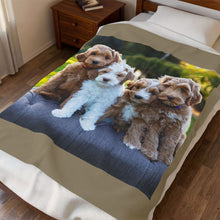 Load image into Gallery viewer, 4 Poodles puppies Velveteen Plush Blanket