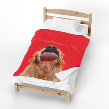 Load image into Gallery viewer, Dog Lick Velveteen Plush Blanket