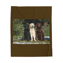 Load image into Gallery viewer, 3 Labs Velveteen Plush Blanket