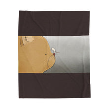 Load image into Gallery viewer, Odd Couple Velveteen Plush Blanket