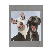 Load image into Gallery viewer, Silly Great Danes Velveteen Plush Blanket