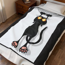 Load image into Gallery viewer, Hang In There Velveteen Plush Blanket