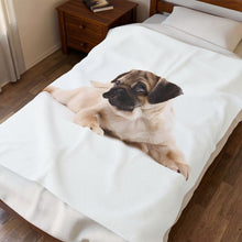 Load image into Gallery viewer, Pug Velveteen Plush Blanket
