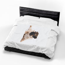 Load image into Gallery viewer, Pug Velveteen Plush Blanket
