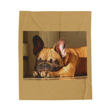 Load image into Gallery viewer, Frenchie sleeping Velveteen Plush Blanket
