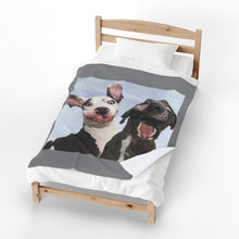 Load image into Gallery viewer, Silly Great Danes Velveteen Plush Blanket
