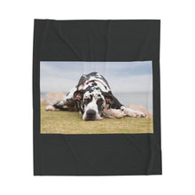 Load image into Gallery viewer, Relaxing Great Dane Velveteen Plush Blanket
