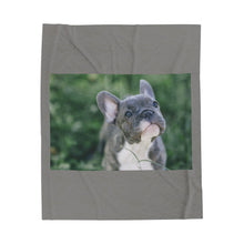 Load image into Gallery viewer, Grey Frenchie Velveteen Plush Blanket
