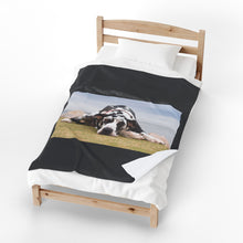 Load image into Gallery viewer, Relaxing Great Dane Velveteen Plush Blanket
