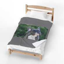 Load image into Gallery viewer, Grey Frenchie Velveteen Plush Blanket
