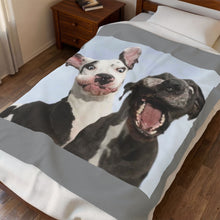 Load image into Gallery viewer, Silly Great Danes Velveteen Plush Blanket
