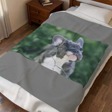 Load image into Gallery viewer, Grey Frenchie Velveteen Plush Blanket
