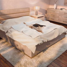 Load image into Gallery viewer, Pug Velveteen Plush Blanket
