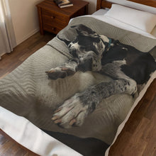 Load image into Gallery viewer, Chillin' Great Dane Velveteen Plush Blanket
