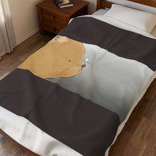 Load image into Gallery viewer, Odd Couple Velveteen Plush Blanket
