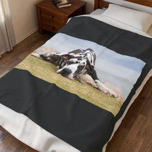 Load image into Gallery viewer, Relaxing Great Dane Velveteen Plush Blanket
